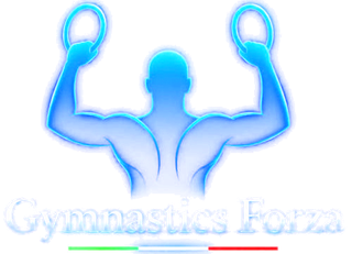 Gymnastics Forza Academy